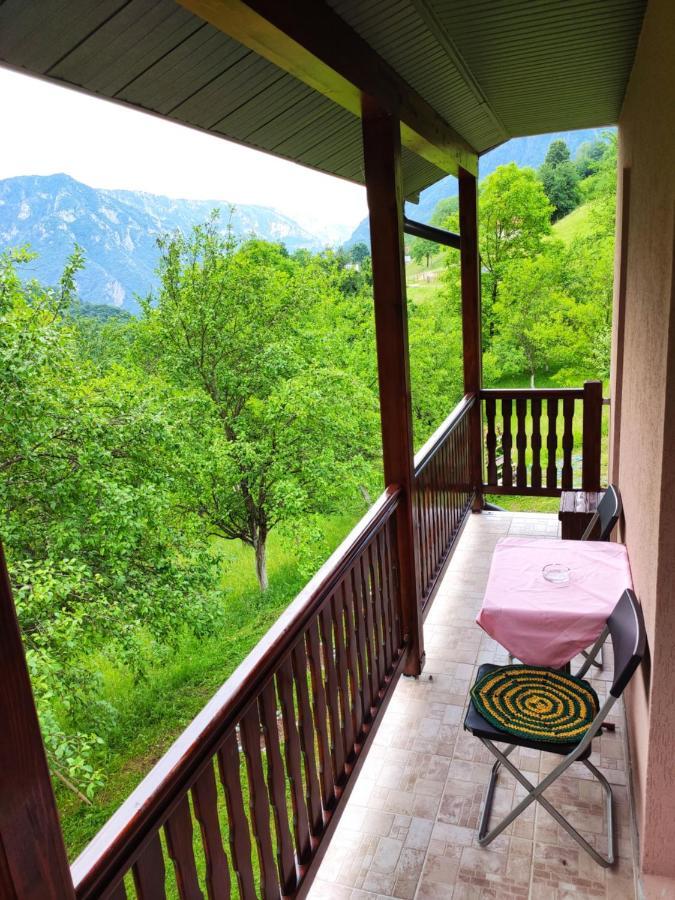 Privatni Smjestaj "Mratinje" Guest House Pluzine Luaran gambar